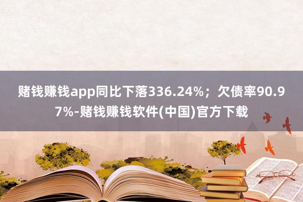 赌钱赚钱app同比下落336.24%；欠债率90.97%-赌钱赚钱软件(中国)官方下载